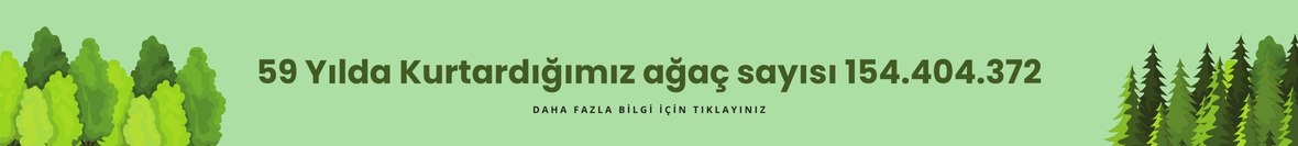 Kurtardığımız ağaçlar