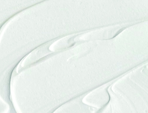 Hemel Acrylic Filler Paste White (501)