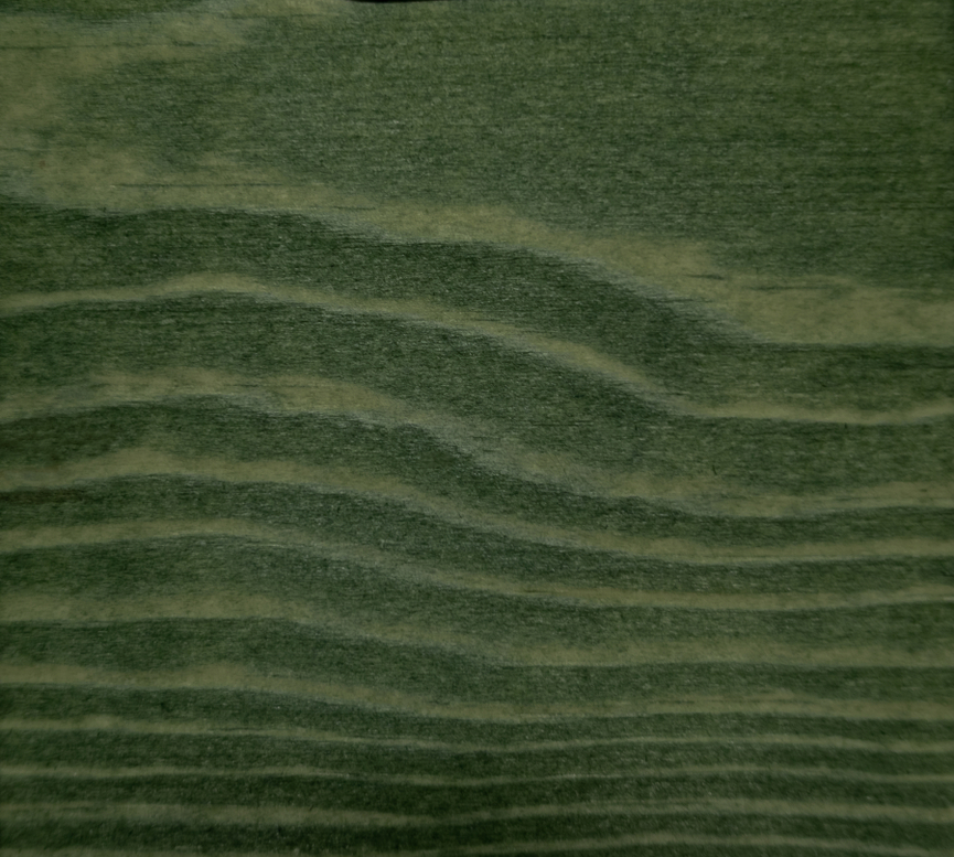 Prime Wood Colorant SA 1166 Green