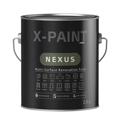  - X-paint Nexus Vanilya